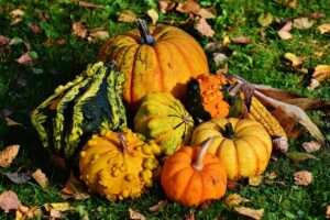 zucca in cucina